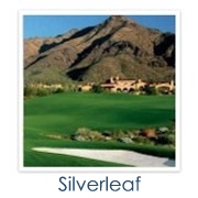Silverleaf Golf Homes