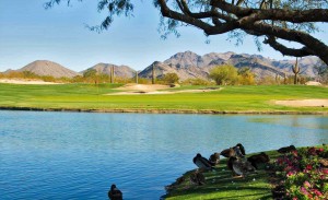 homes in grayhawk scottsdale