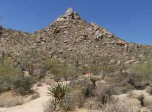 pinnacle peak park