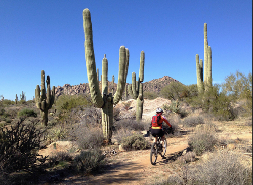 Hiking in Troon Scottsdale AZ